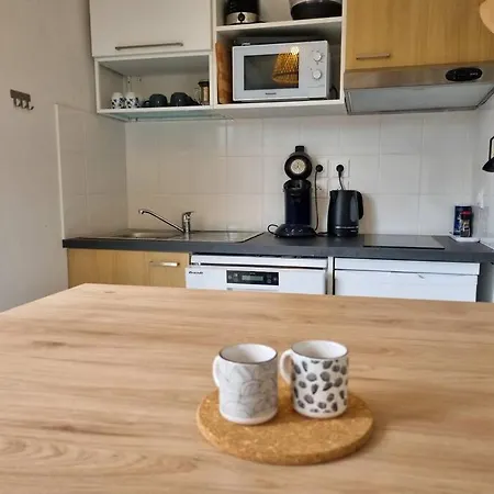 La Ocean 10 Min A Pied De Foret * Mimizan-Plage