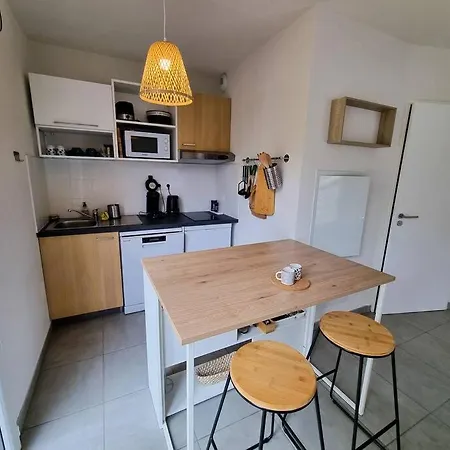 La Océan 10 Min A Pied De Forêt Appartement Mimizan