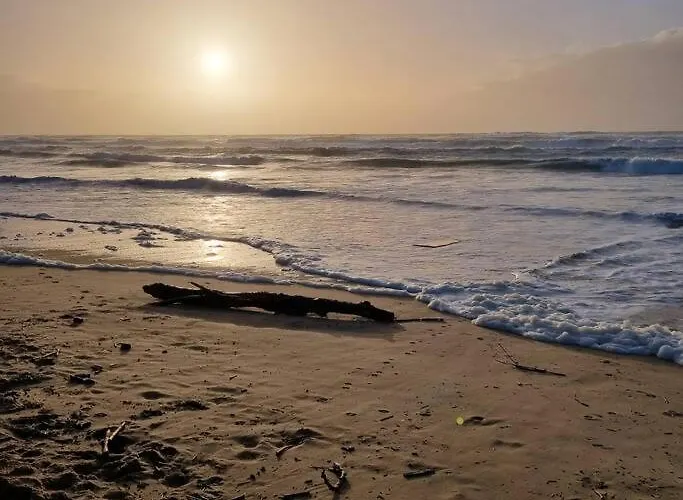 La Ocean 10 Min A Pied De Foret * Mimizan-Plage