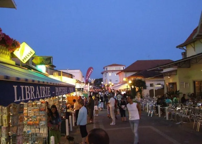 La Ocean 10 Min A Pied De Foret * Mimizan-Plage