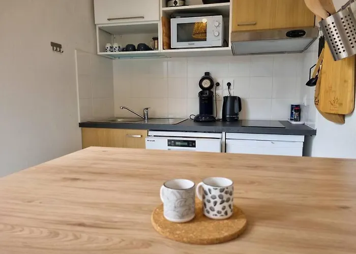 La Ocean 10 Min A Pied De Foret * Mimizan-Plage