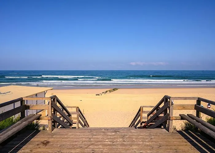 La Ocean 10 Min A Pied De Foret Mimizan-Plage